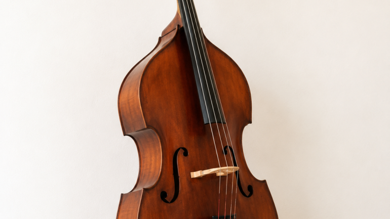 Instrument: contrabaix