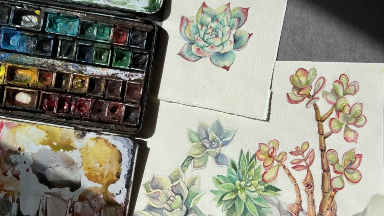 Caixa d'aquarel·les oberta al costat de diverses il·lustracions botàniques de plantes suculentes pintades sobre paper. La composició mostra el procés creatiu i els materials de pintura.